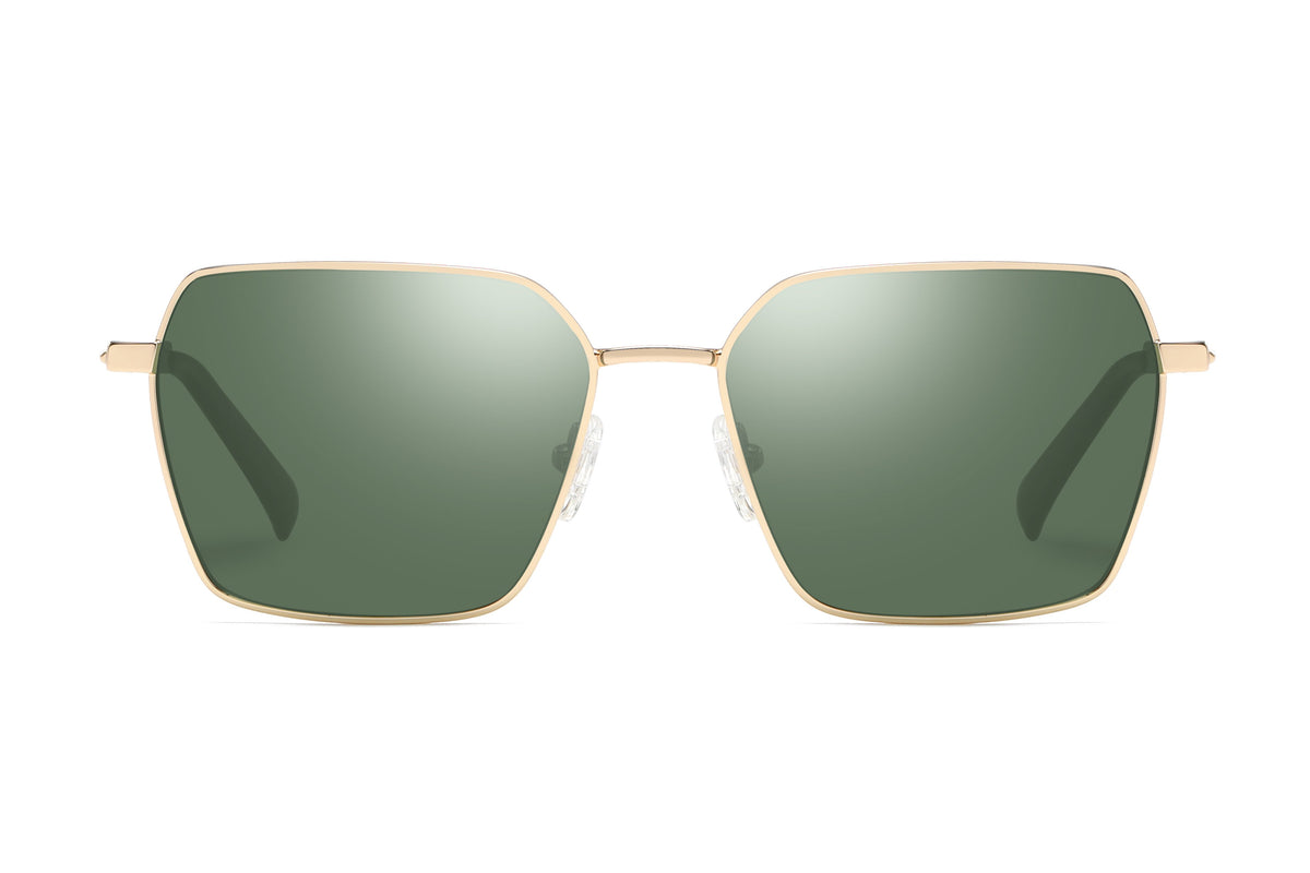 Polarized sunglasses FE966